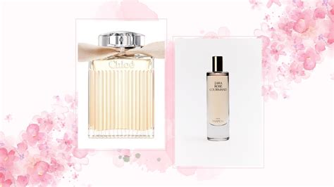 zara chloe perfume dupe|zara rose gourmand.